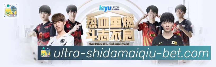 互动解说服务